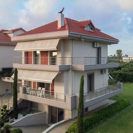 "Aeolos" Luxury Villa Preveza Exterior foto